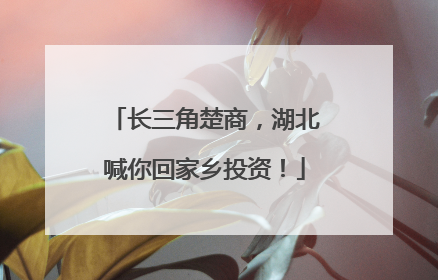 长三角楚商，湖北喊你回家乡投资！