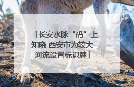 长安水脉“码”上知晓 西安市为较大河流设置标识牌
