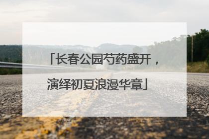 长春公园芍药盛开，演绎初夏浪漫华章