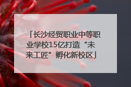 长沙经贸职业中等职业学校15亿打造“未来工匠”孵化新校区