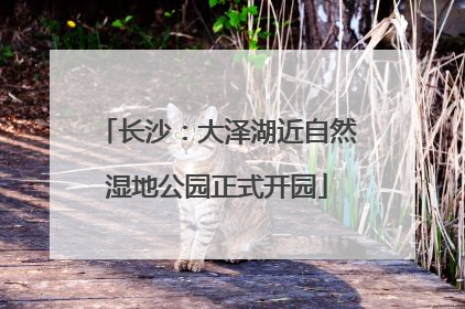 长沙：大泽湖近自然湿地公园正式开园