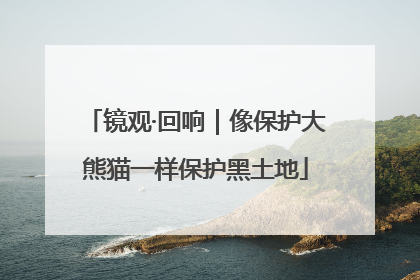 镜观·回响｜像保护大熊猫一样保护黑土地