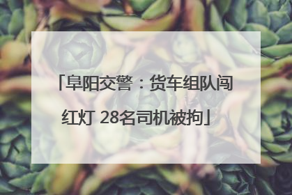 阜阳交警：货车组队闯红灯 28名司机被拘