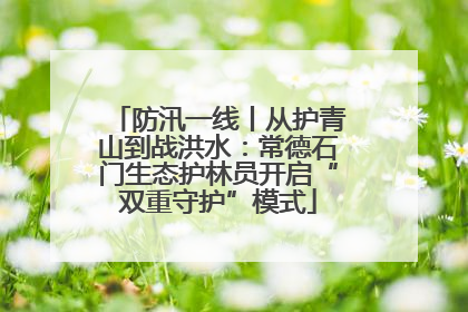 防汛一线丨从护青山到战洪水：常德石门生态护林员开启“双重守护”模式
