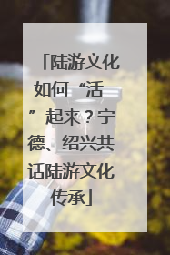 陆游文化如何“活 ”起来？宁德、绍兴共话陆游文化传承