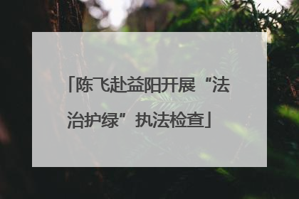 陈飞赴益阳开展“法治护绿”执法检查