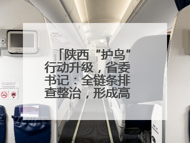 陕西“护鸟”行动升级，省委书记：全链条排查整治，形成高压震慑态势