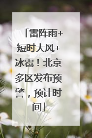 雷阵雨+短时大风+冰雹！北京多区发布预警，预计时间