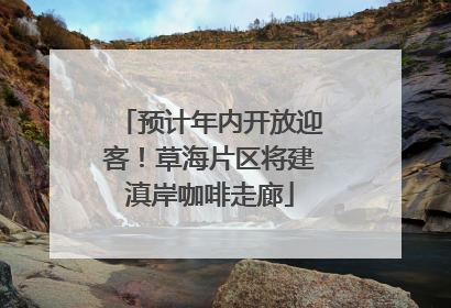 预计年内开放迎客！草海片区将建滇岸咖啡走廊