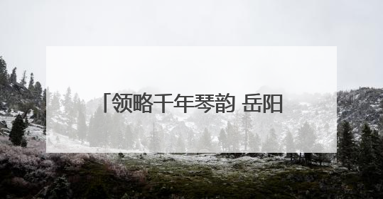 领略千年琴韵 岳阳市古琴协会一行参观岳阳楼博物馆古琴展