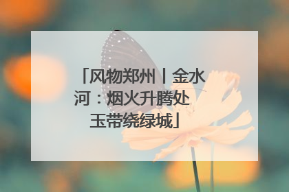 风物郑州丨金水河：烟火升腾处 玉带绕绿城