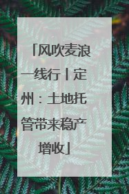 风吹麦浪一线行丨定州：土地托管带来稳产增收