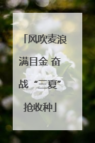 风吹麦浪满目金 奋战“三夏”抢收种