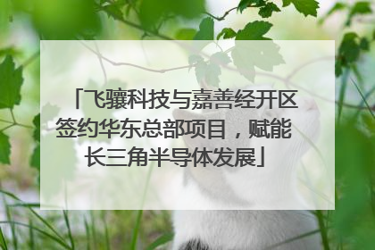 飞骧科技与嘉善经开区签约华东总部项目，赋能长三角半导体发展