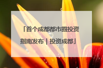 首个成都都市圈投资指南发布｜投资成都
