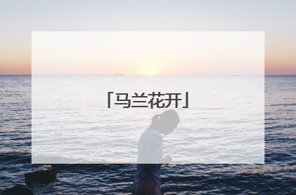 马兰花开