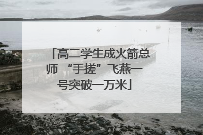 高二学生成火箭总师 “手搓”飞燕一号突破一万米