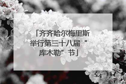 齐齐哈尔梅里斯举行第三十八届“库木勒”节