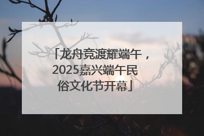 龙舟竞渡耀端午，2025嘉兴端午民俗文化节开幕