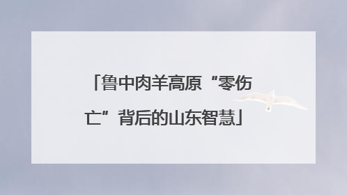 鲁中肉羊高原“零伤亡”背后的山东智慧