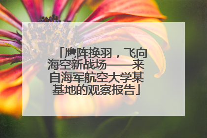鹰阵换羽，飞向海空新战场——来自海军航空大学某基地的观察报告