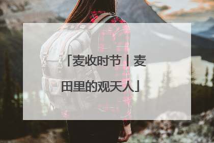 麦收时节丨麦田里的观天人