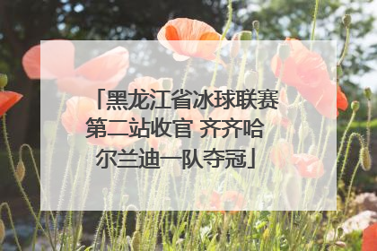 黑龙江省冰球联赛第二站收官 齐齐哈尔兰迪一队夺冠