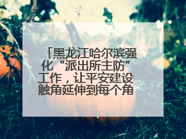 黑龙江哈尔滨强化“派出所主防”工作，让平安建设触角延伸到每个角落……