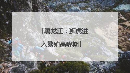 黑龙江：狮虎进入繁殖高峰期