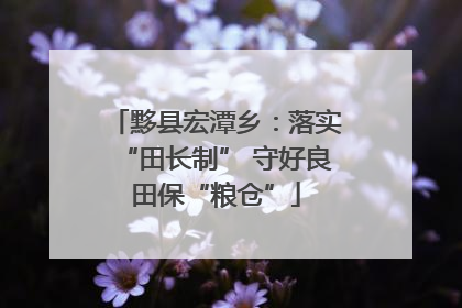 黟县宏潭乡：落实“田长制” 守好良田保“粮仓”