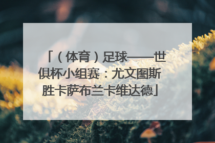 （体育）足球——世俱杯小组赛：尤文图斯胜卡萨布兰卡维达德