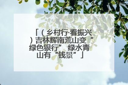 （乡村行·看振兴）吉林辉南荒山变“绿色银行” 绿水青山有“钱景”