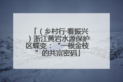 （乡村行·看振兴）浙江黄岩水源保护区蝶变：“一根金枝”的共富密码