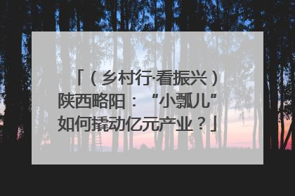 （乡村行·看振兴）陕西略阳：“小瓢儿”如何撬动亿元产业？