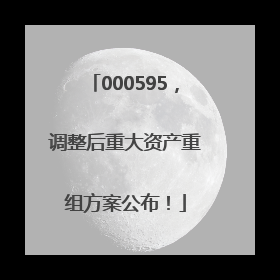 000595，调整后重大资产重组方案公布！