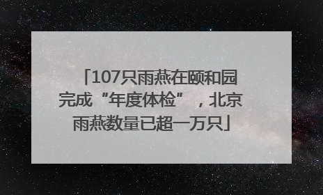 107只雨燕在颐和园完成“年度体检”，北京雨燕数量已超一万只