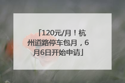 120元/月！杭州道路停车包月，6月6日开始申请