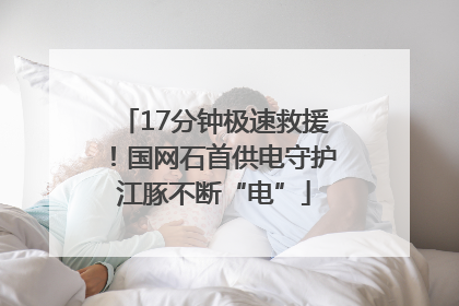 17分钟极速救援！国网石首供电守护江豚不断“电”