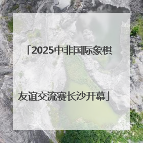 2025中非国际象棋友谊交流赛长沙开幕