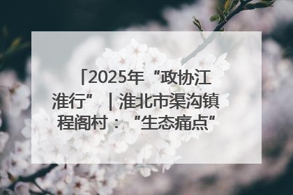2025年“政协江淮行”｜淮北市渠沟镇程阁村：“生态痛点”变“生态景观”