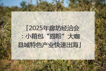 2025年廊坊经洽会：小箱包“圈粉”大咖 县域特色产业快速出海