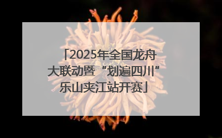 2025年全国龙舟大联动暨“划遍四川”乐山夹江站开赛