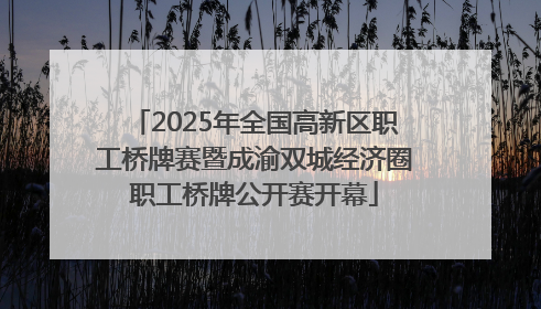 2025年全国高新区职工桥牌赛暨成渝双城经济圈职工桥牌公开赛开幕