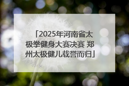 2025年河南省太极拳健身大赛决赛 郑州太极健儿载誉而归