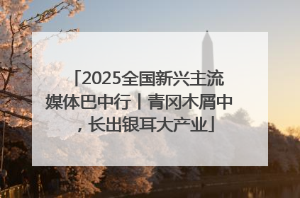 2025全国新兴主流媒体巴中行丨青冈木屑中，长出银耳大产业