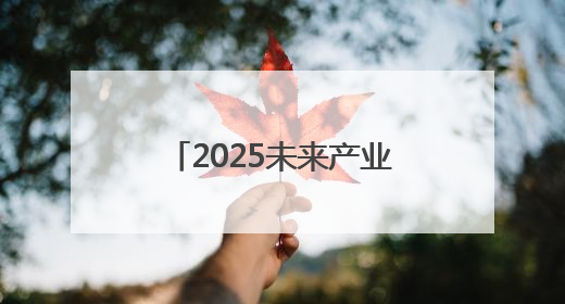 2025未来产业系列对接活动（安徽行）举行 6个重点项目现场签约