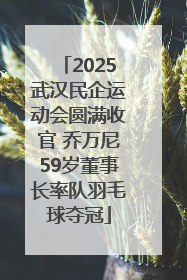 2025武汉民企运动会圆满收官 乔万尼59岁董事长率队羽毛球夺冠