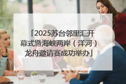 2025苏台邻里汇开幕式暨海峡两岸（洋河）龙舟邀请赛成功举办