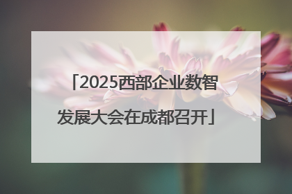 2025西部企业数智发展大会在成都召开