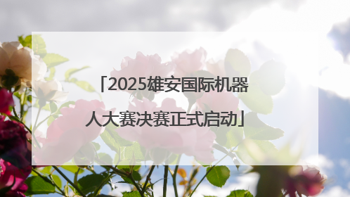 2025雄安国际机器人大赛决赛正式启动